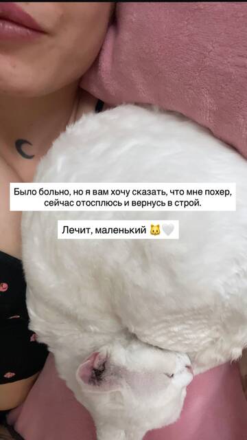 https://upforme.ru/uploads/001b/92/d8/1857/t564199.jpg