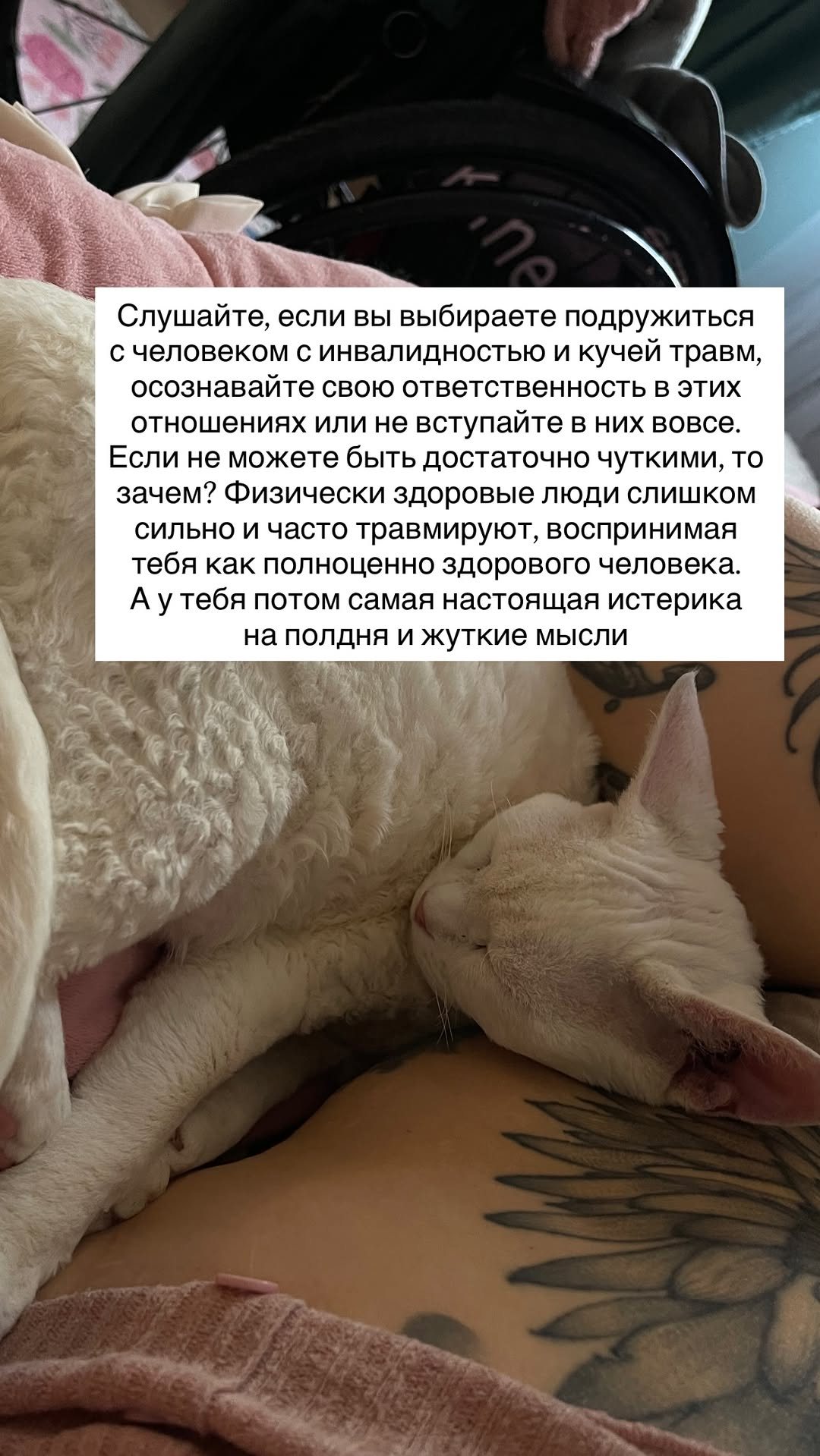 https://upforme.ru/uploads/001b/92/d8/1859/983788.png