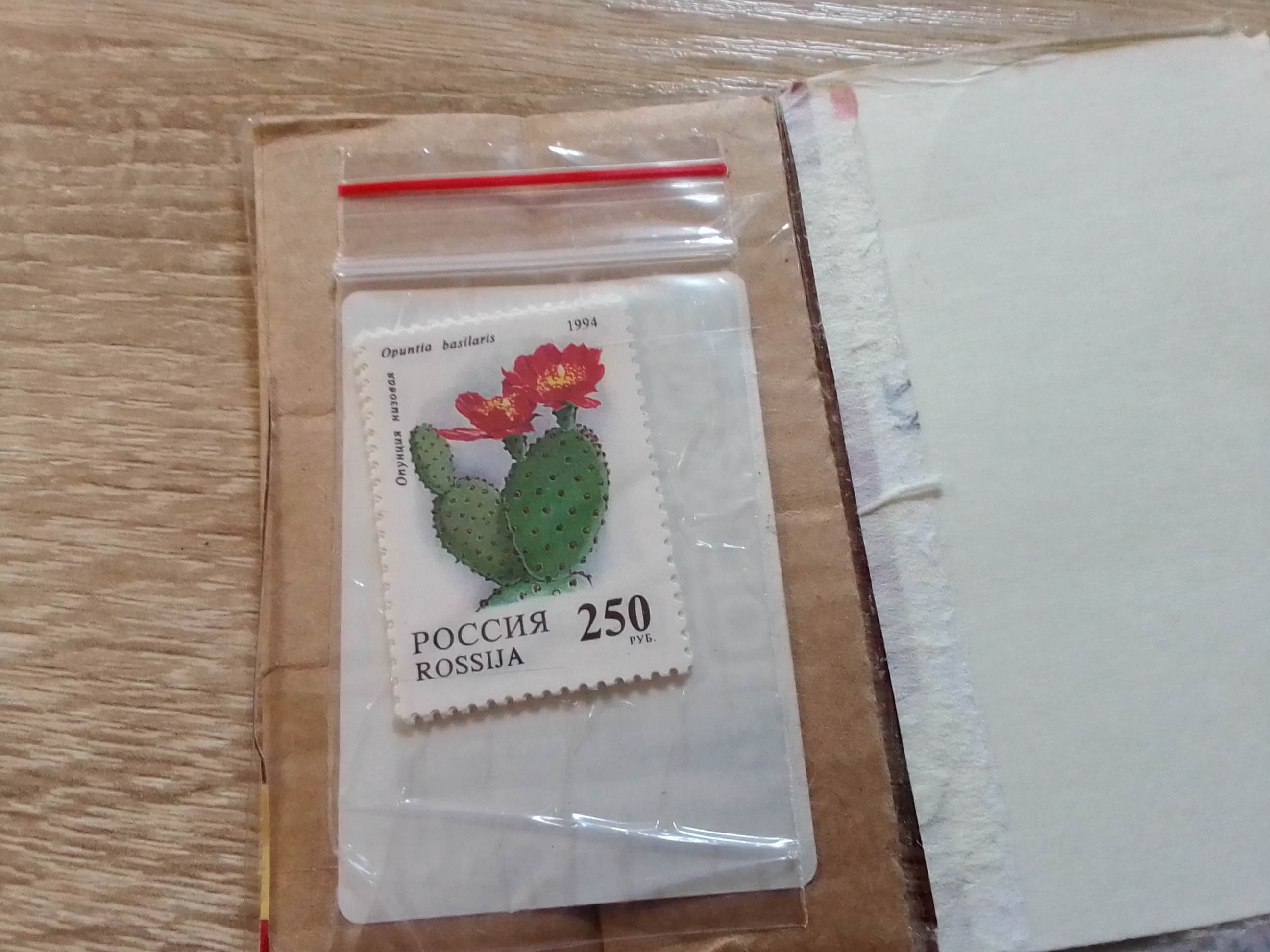 https://upforme.ru/uploads/001b/92/d8/1878/62897.jpg