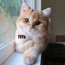 https://upforme.ru/uploads/001b/92/d8/204/60973.jpg