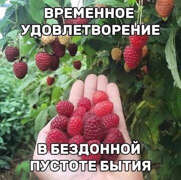 https://upforme.ru/uploads/001b/92/d8/2061/t256504.jpg