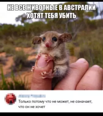 https://upforme.ru/uploads/001b/92/d8/2061/t346475.webp