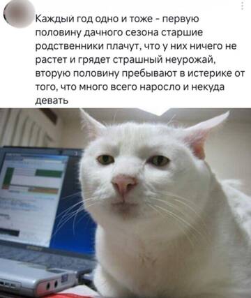 https://upforme.ru/uploads/001b/92/d8/2061/t420292.jpg