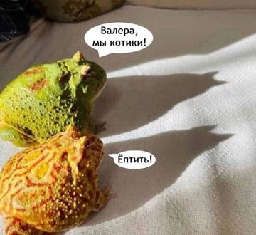 https://upforme.ru/uploads/001b/92/d8/2061/t450399.jpg