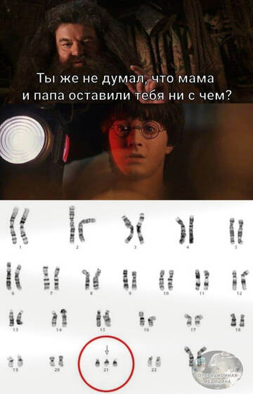 https://upforme.ru/uploads/001b/92/d8/2061/t450766.jpg