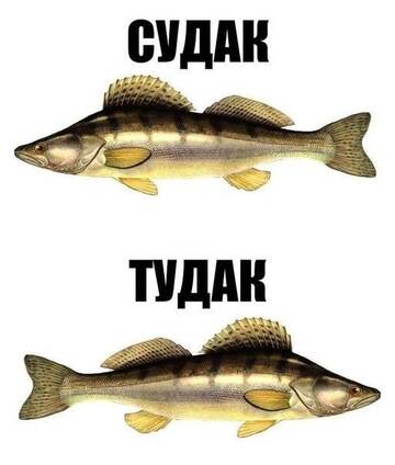 https://upforme.ru/uploads/001b/92/d8/2061/t544909.jpg