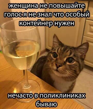 https://upforme.ru/uploads/001b/92/d8/2061/t606404.jpg