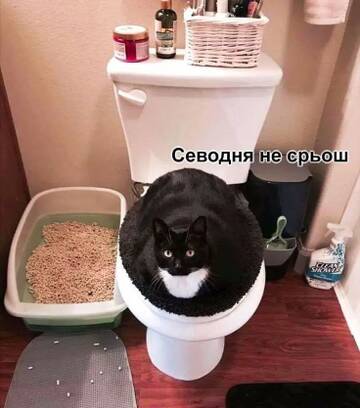 https://upforme.ru/uploads/001b/92/d8/2061/t710709.jpg