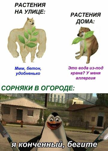 https://upforme.ru/uploads/001b/92/d8/2061/t733368.jpg