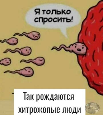 https://upforme.ru/uploads/001b/92/d8/2061/t874679.jpg