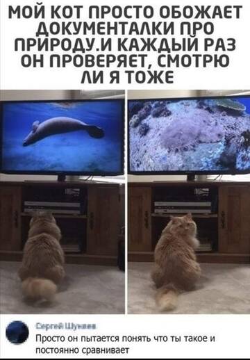 https://upforme.ru/uploads/001b/92/d8/2061/t913559.jpg