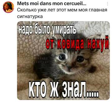 https://upforme.ru/uploads/001b/92/d8/2061/t983760.jpg