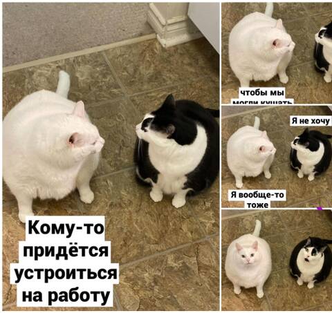 https://upforme.ru/uploads/001b/92/d8/21/t280828.jpg