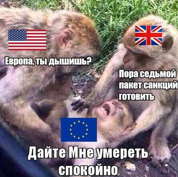 https://upforme.ru/uploads/001b/92/d8/21/t730343.jpg