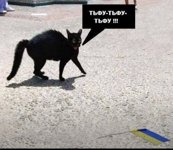 https://upforme.ru/uploads/001b/92/d8/22/940360.jpg