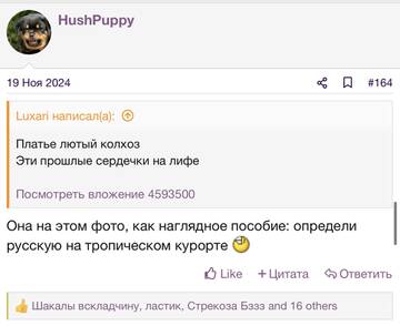 https://upforme.ru/uploads/001b/92/d8/2262/t154695.jpg