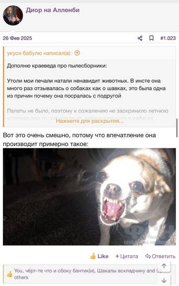 https://upforme.ru/uploads/001b/92/d8/2262/t298654.jpg