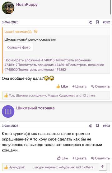 https://upforme.ru/uploads/001b/92/d8/2262/t395220.jpg