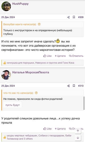 https://upforme.ru/uploads/001b/92/d8/2262/t523036.jpg