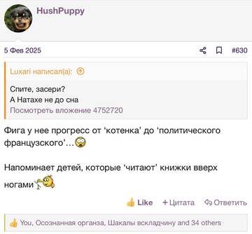 https://upforme.ru/uploads/001b/92/d8/2262/t642228.jpg