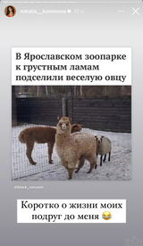 https://upforme.ru/uploads/001b/92/d8/2262/t852884.png