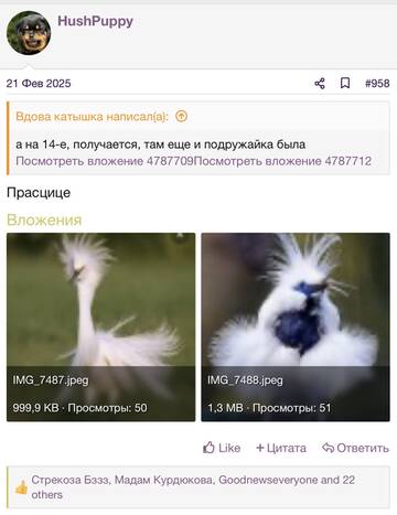 https://upforme.ru/uploads/001b/92/d8/2262/t925145.jpg