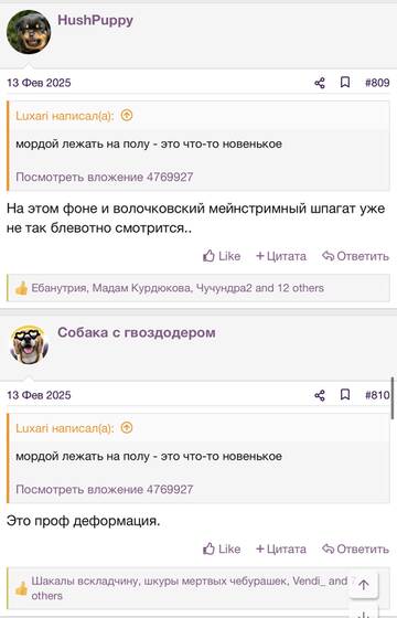 https://upforme.ru/uploads/001b/92/d8/2262/t949725.jpg