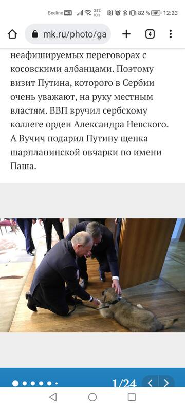 https://upforme.ru/uploads/001b/92/d8/24/t519755.jpg