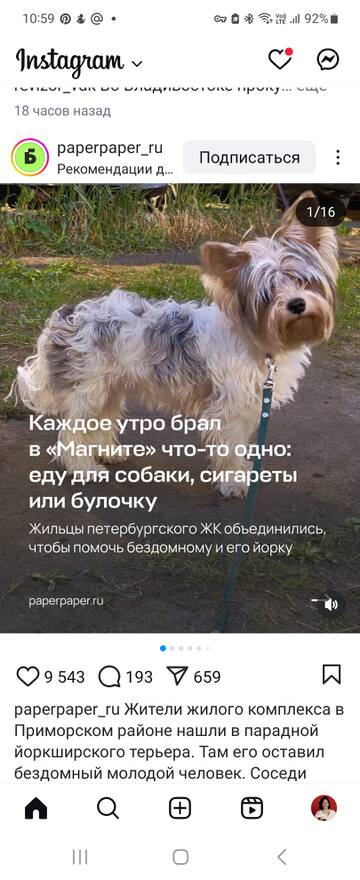 https://upforme.ru/uploads/001b/92/d8/24/t903537.jpg