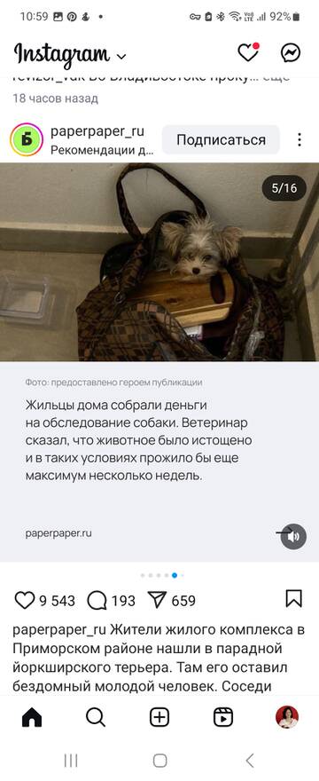 https://upforme.ru/uploads/001b/92/d8/24/t947523.jpg