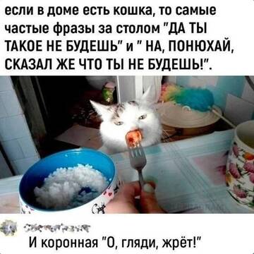 https://upforme.ru/uploads/001b/92/d8/25/t426253.jpg