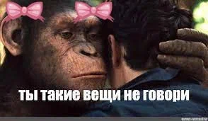 https://upforme.ru/uploads/001b/92/d8/252/t476432.webp