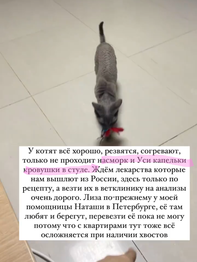 https://upforme.ru/uploads/001b/92/d8/265/12873.png