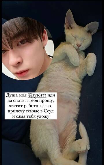 https://upforme.ru/uploads/001b/92/d8/265/t127990.jpg
