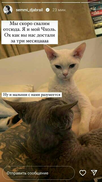https://upforme.ru/uploads/001b/92/d8/265/t288278.jpg