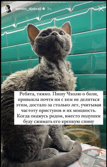 https://upforme.ru/uploads/001b/92/d8/265/t392558.jpg