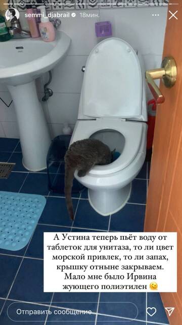 https://upforme.ru/uploads/001b/92/d8/265/t424710.jpg