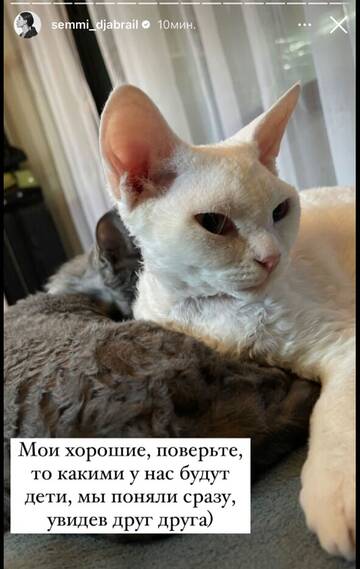 https://upforme.ru/uploads/001b/92/d8/265/t590027.jpg