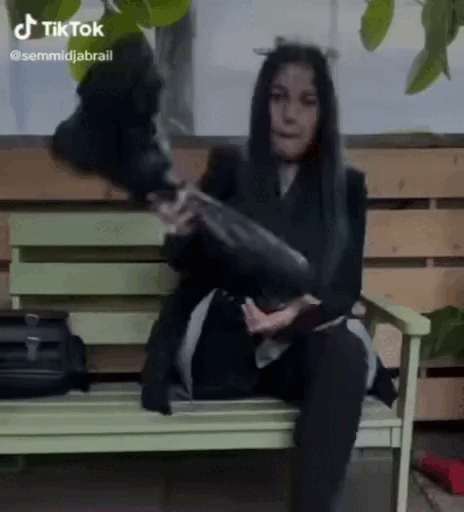 https://upforme.ru/uploads/001b/92/d8/265/t722536.gif