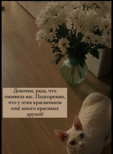 https://upforme.ru/uploads/001b/92/d8/265/t725715.jpg