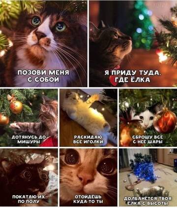 https://upforme.ru/uploads/001b/92/d8/385/t108262.jpg