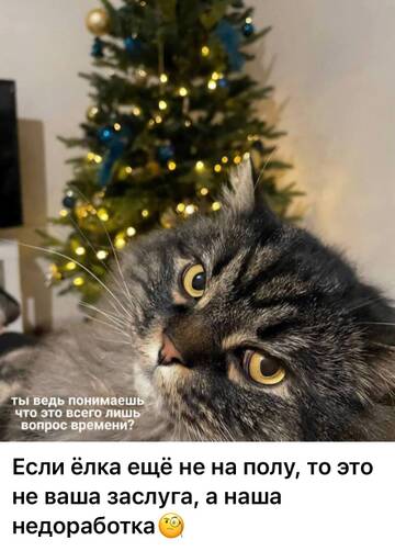 https://upforme.ru/uploads/001b/92/d8/385/t234140.jpg