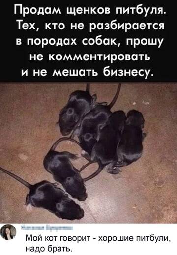 https://upforme.ru/uploads/001b/92/d8/385/t306958.jpg