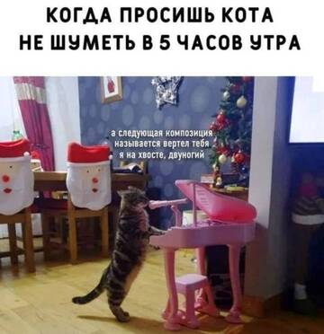 https://upforme.ru/uploads/001b/92/d8/385/t350679.jpg