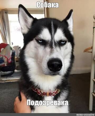 https://upforme.ru/uploads/001b/92/d8/385/t554782.jpg