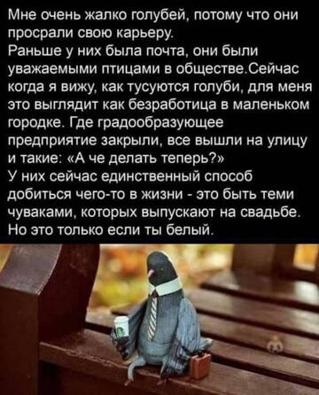 https://upforme.ru/uploads/001b/92/d8/385/t686462.jpg