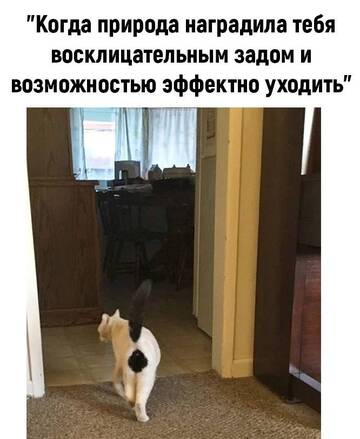 https://upforme.ru/uploads/001b/92/d8/385/t760986.jpg