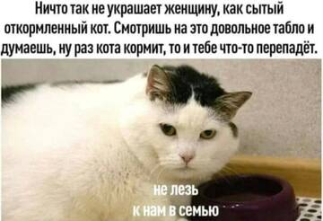 https://upforme.ru/uploads/001b/92/d8/385/t805343.jpg