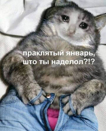 https://upforme.ru/uploads/001b/92/d8/385/t868857.jpg