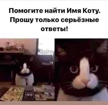 https://upforme.ru/uploads/001b/92/d8/385/t869926.jpg